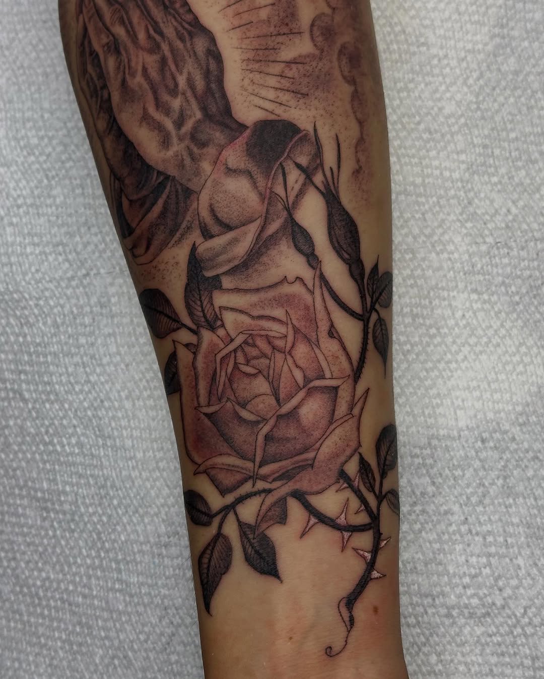 Flower, Rose
