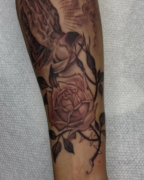 Flower, Rose