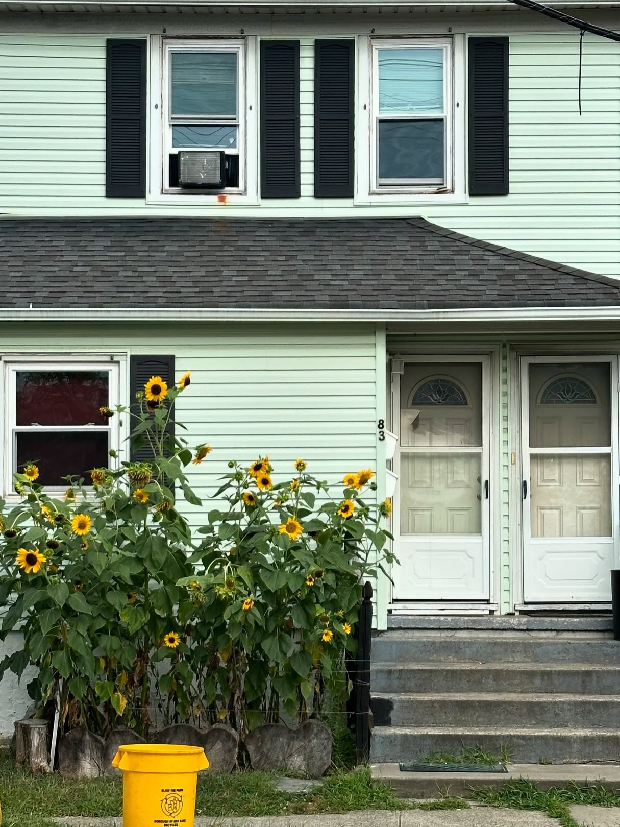 back.ttt