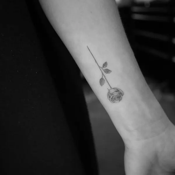 mnsantanatattoo
