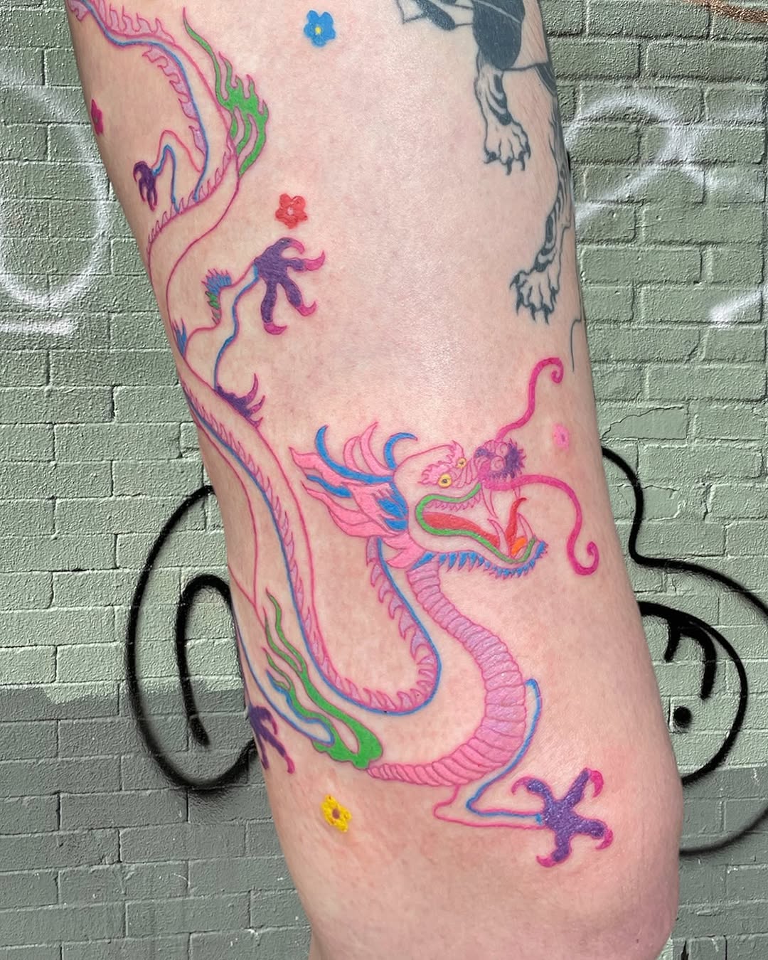 Dragon