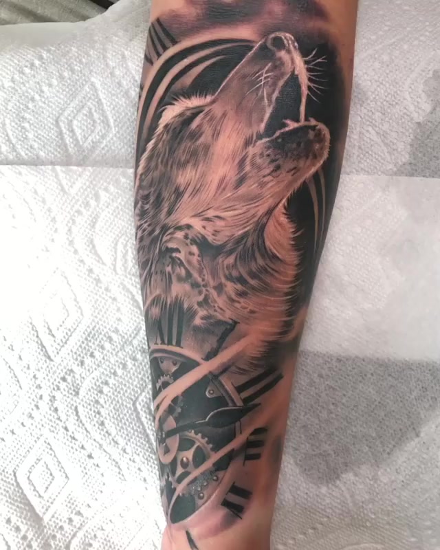 Tiger, Animal