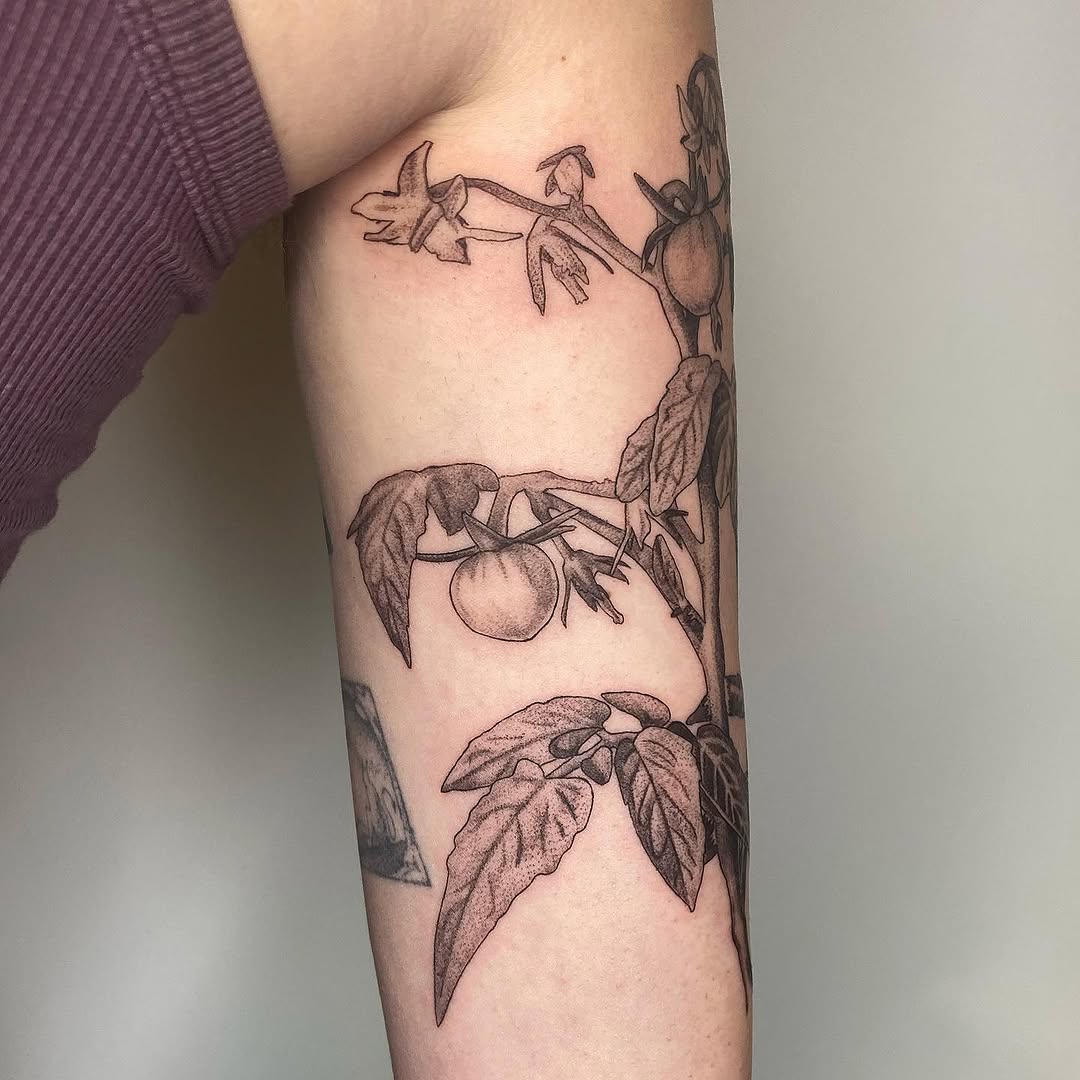 plantsnpokes