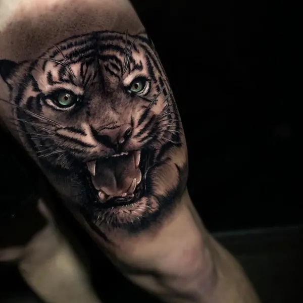 Tiger, 한국 호랑이, 일본 호랑이
