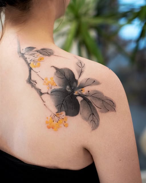 Flower, Rose, Nature