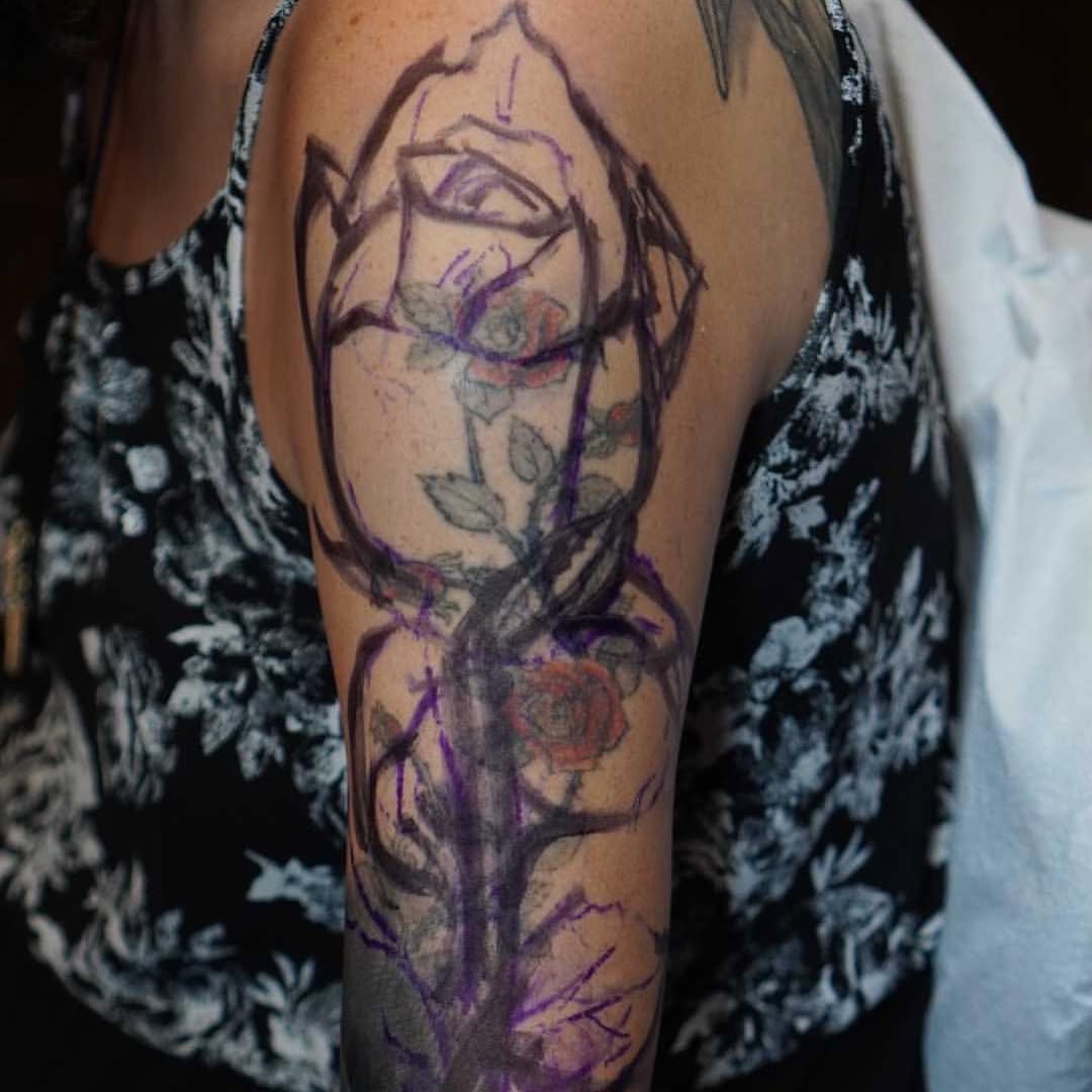 Flower, Rose, Nature