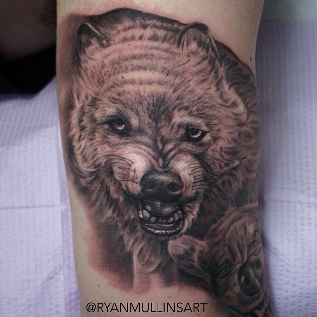 Animal