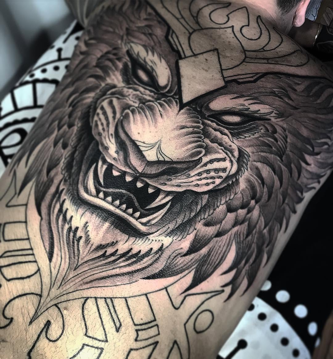 Tiger, Animal