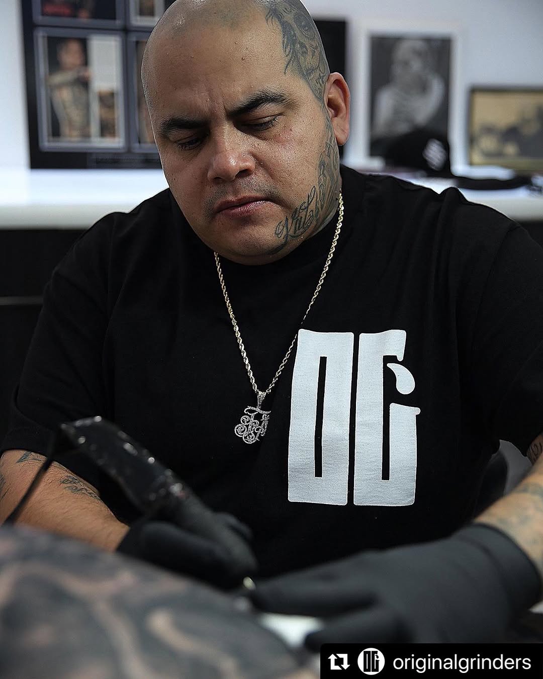 Fernie Andrade