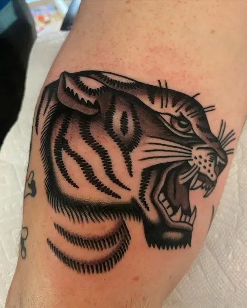 Tiger, Animal