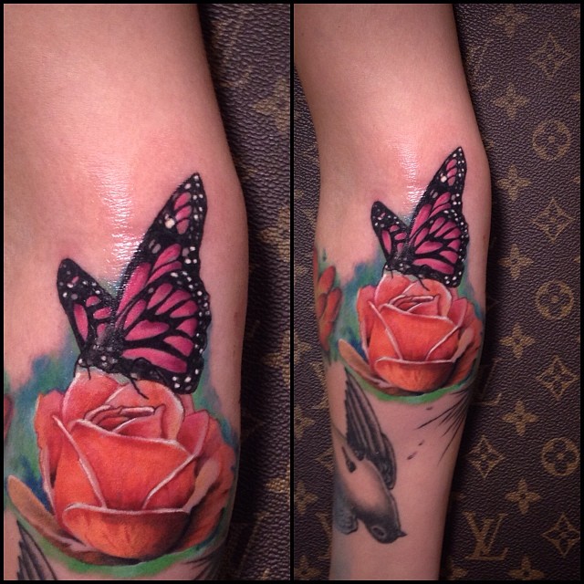 Flower, Animal, Nature