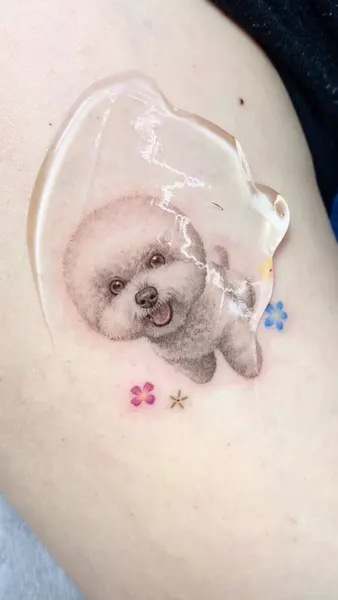 곰, 코알라, 판다, 고슴도치, 나무늘보