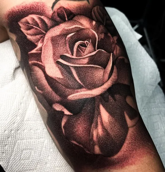Flower, Rose
