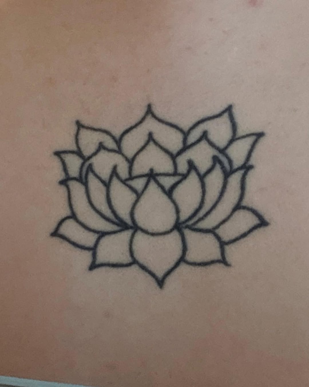 Flower, 연꽃 만다라, 연꽃