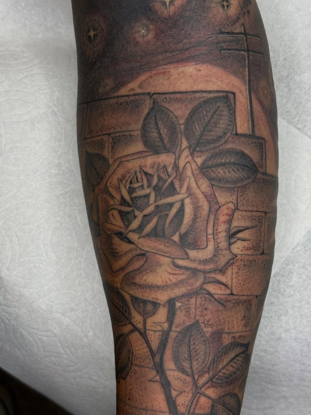 Flower, Rose