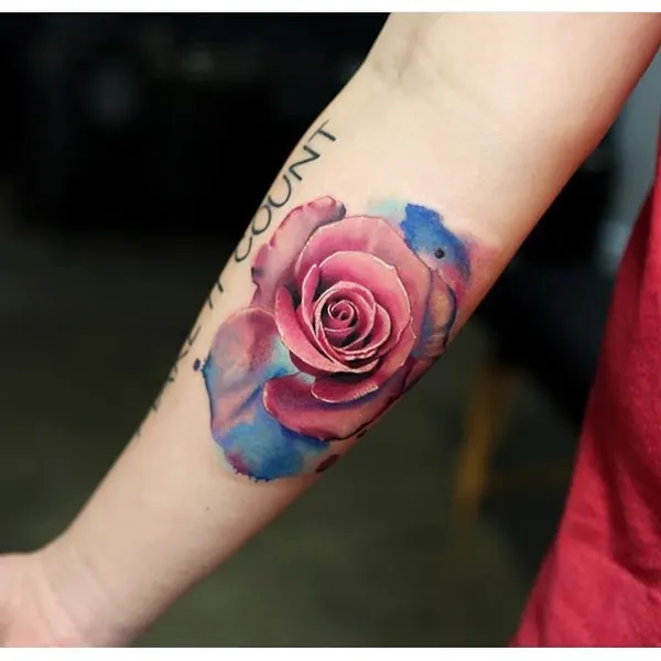 Flower, Rose