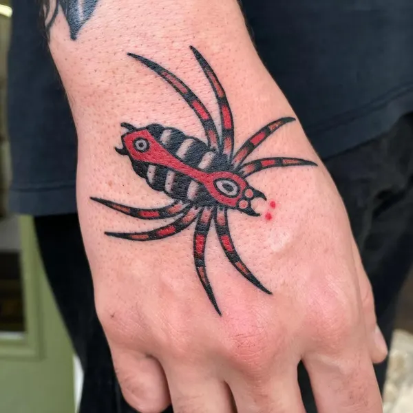 Animal, 거미
