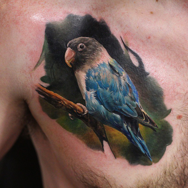 Animal
