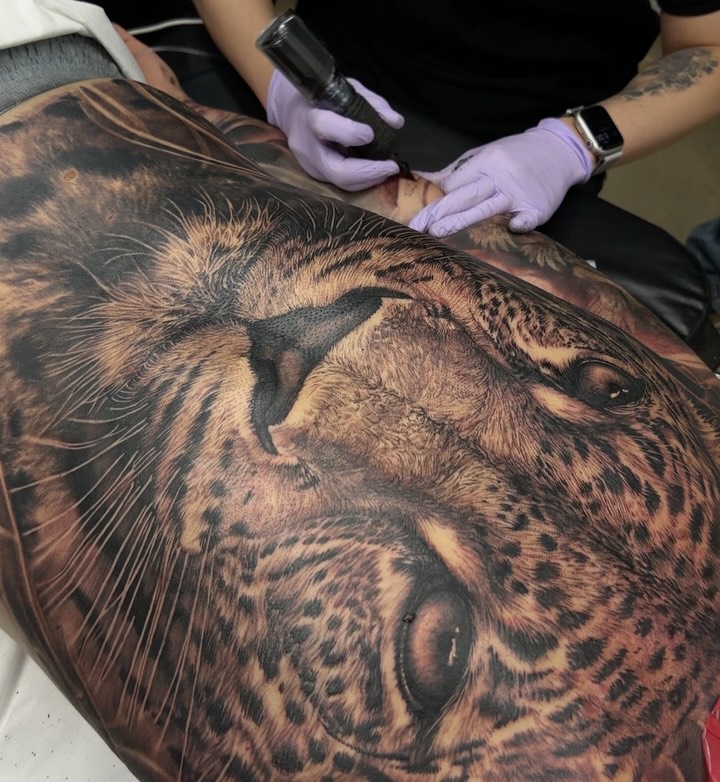 Animal, 표범, 재규어, 치타