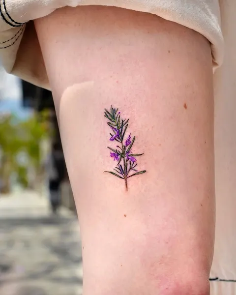 Flower, 라벤더