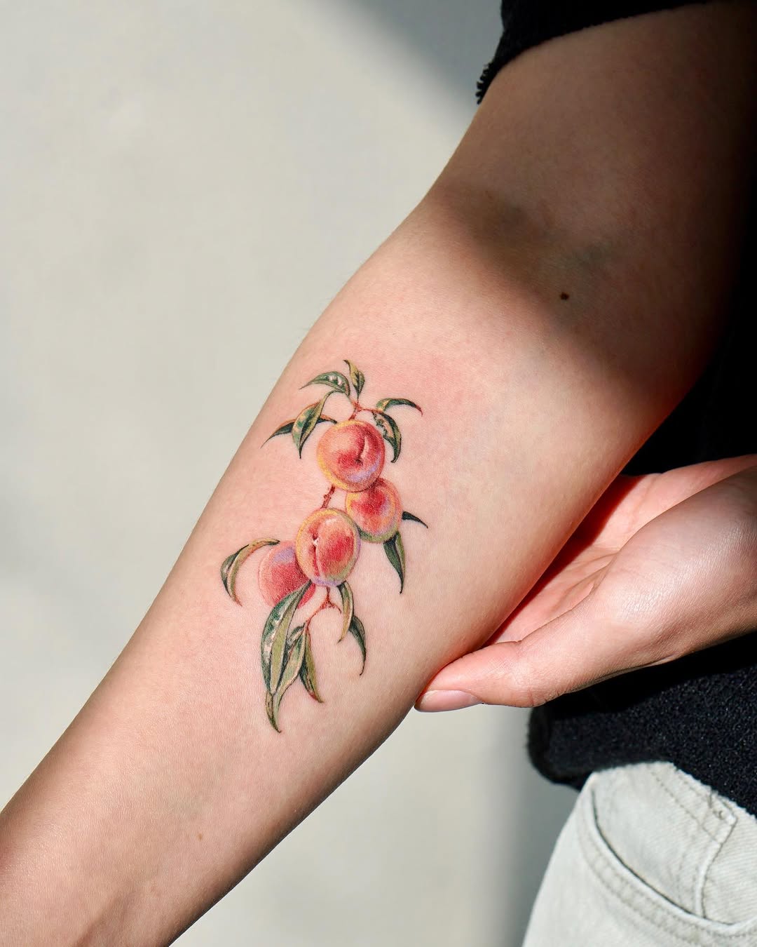 Flower, 과일, 사과, 체리