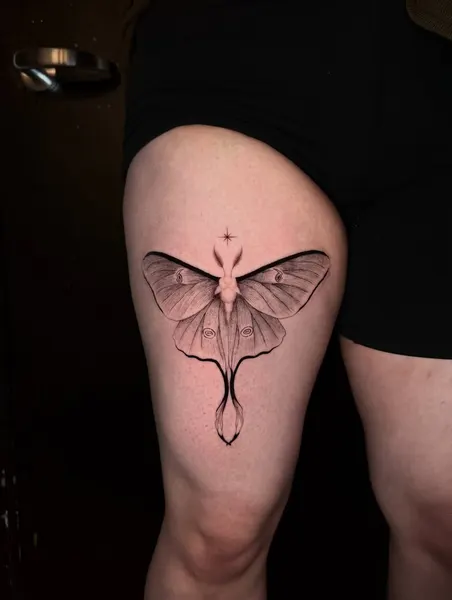 Animal, Nature