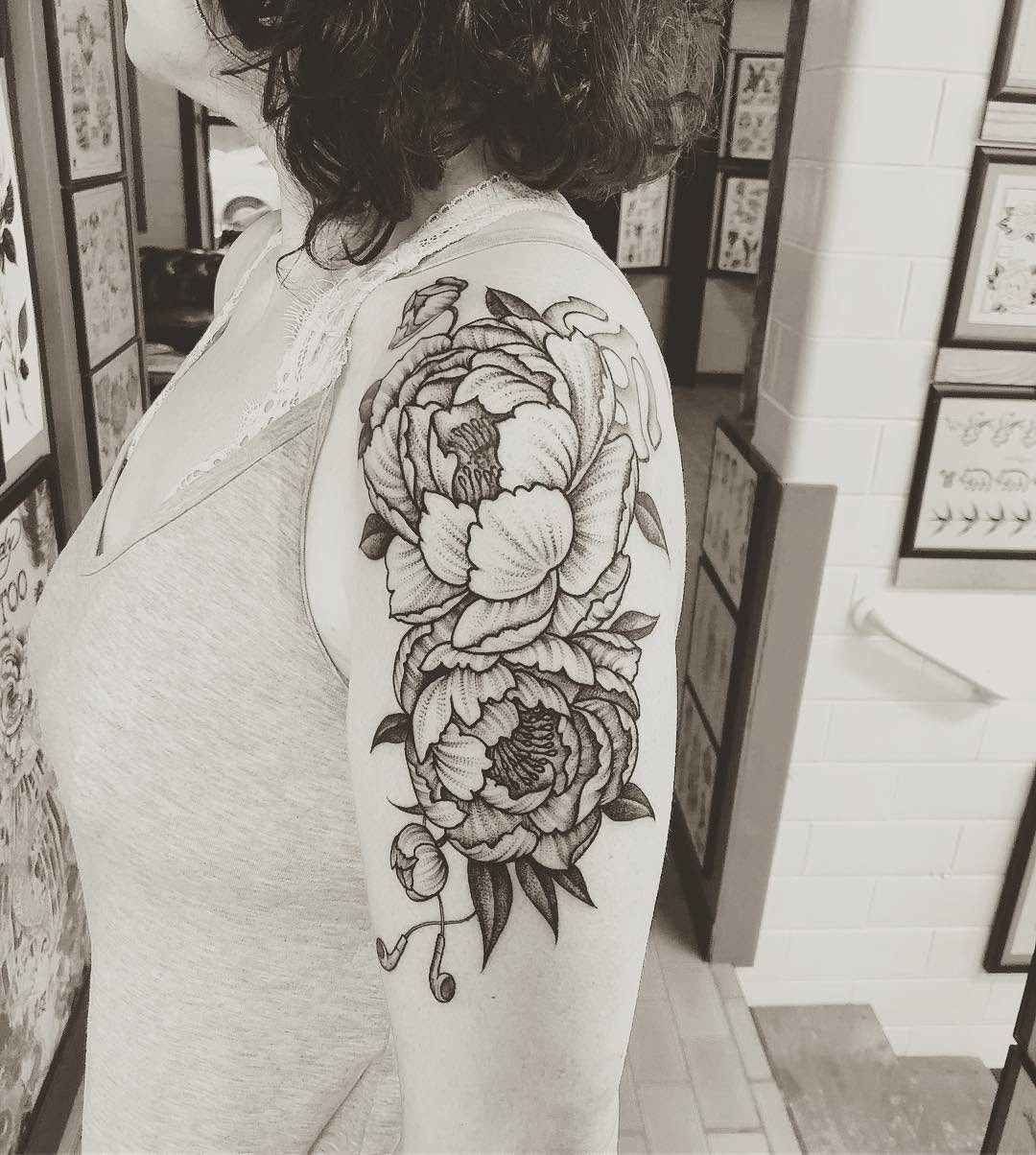 Flower, Rose, Nature