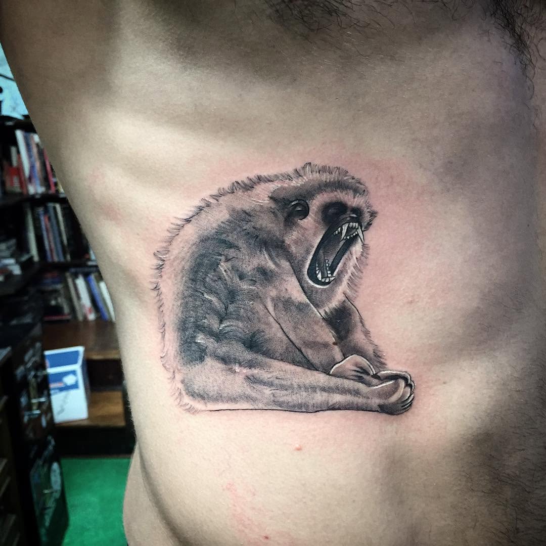 Animal