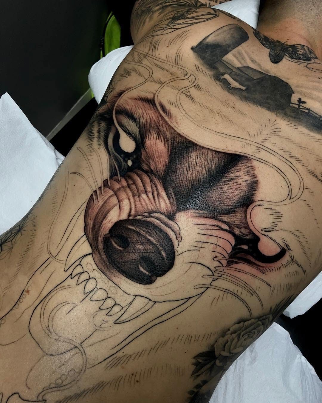 Tiger