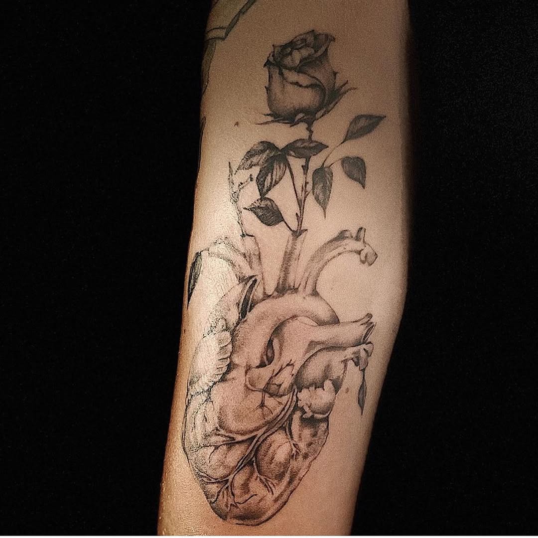 Flower, Rose
