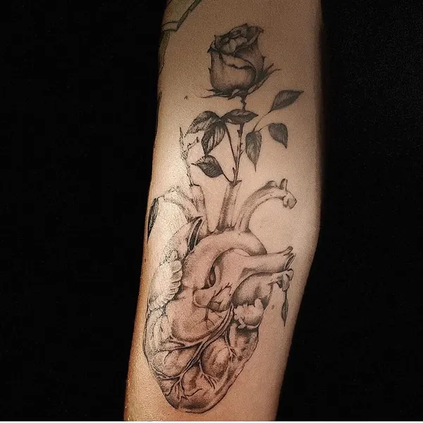 Flower, Rose