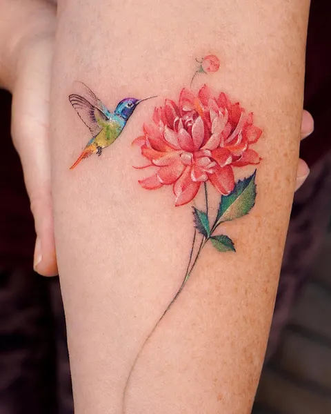 Flower, 해바라기, 데이지