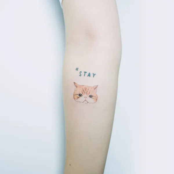 soltattoo