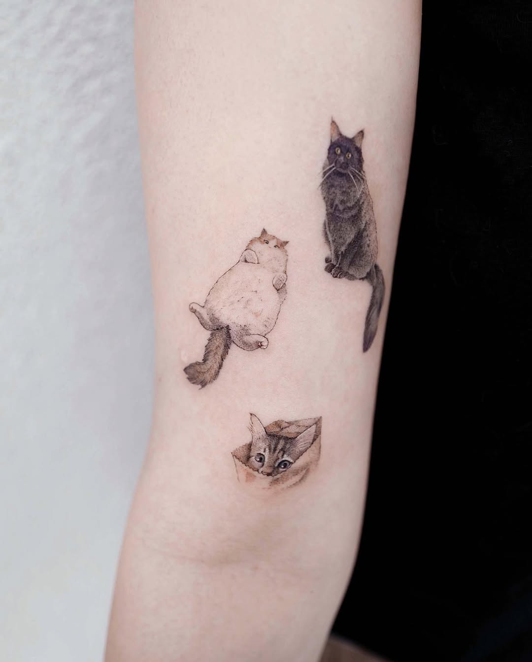soltattoo