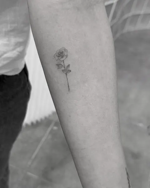 Flower, Rose