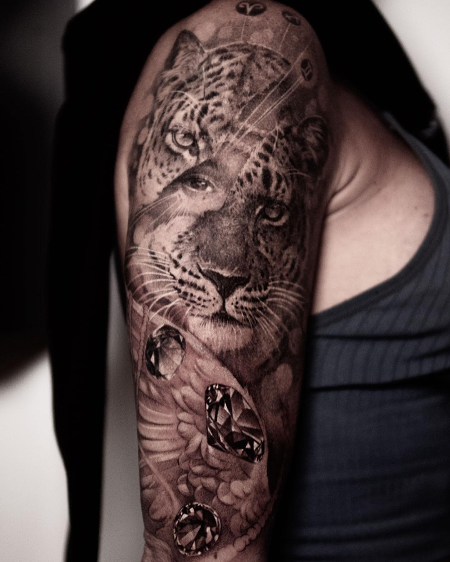 Animal, 표범, 재규어, 치타