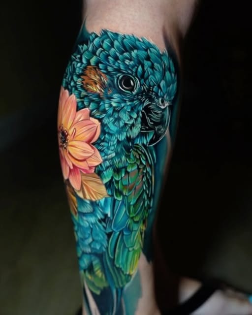 Animal, Nature, 앵무새