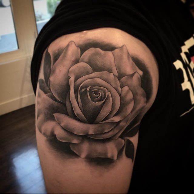 Flower, Rose