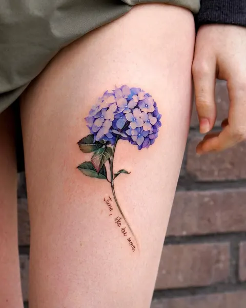 Flower, 해바라기, 데이지