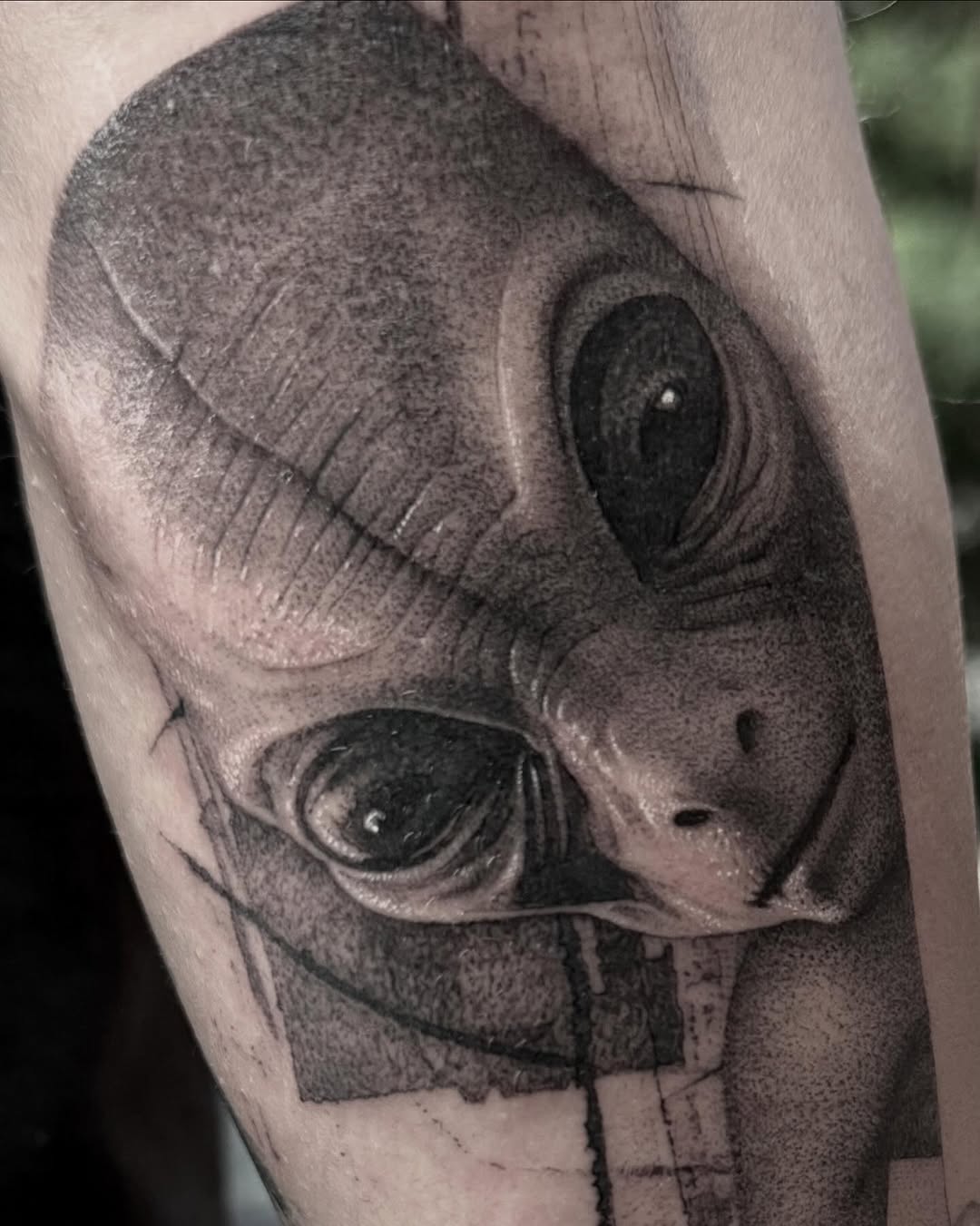 inkdeology