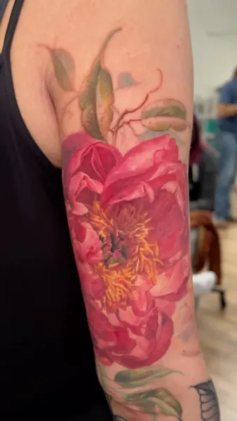 Flower, Rose