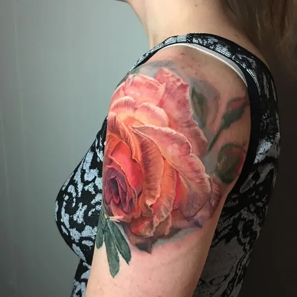 Flower, Rose, Nature