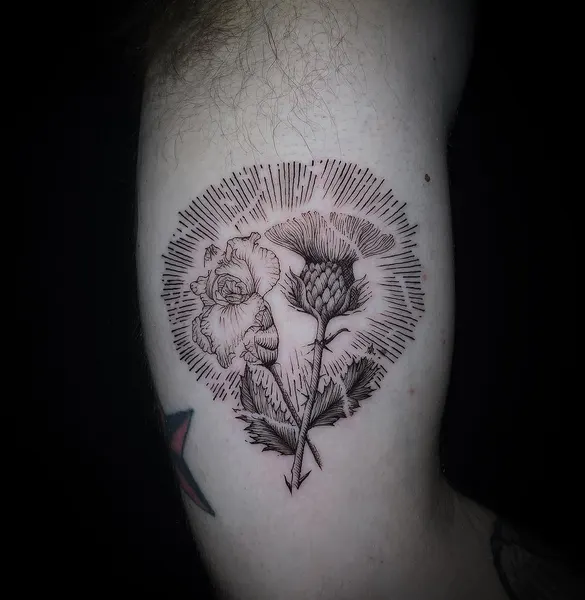 Flower, Rose