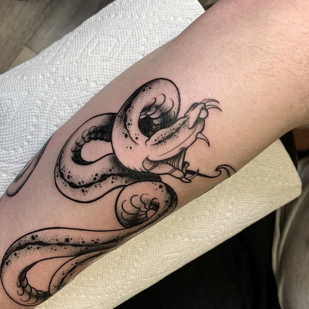 Dragon, Animal