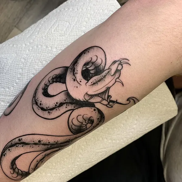 Dragon, Animal