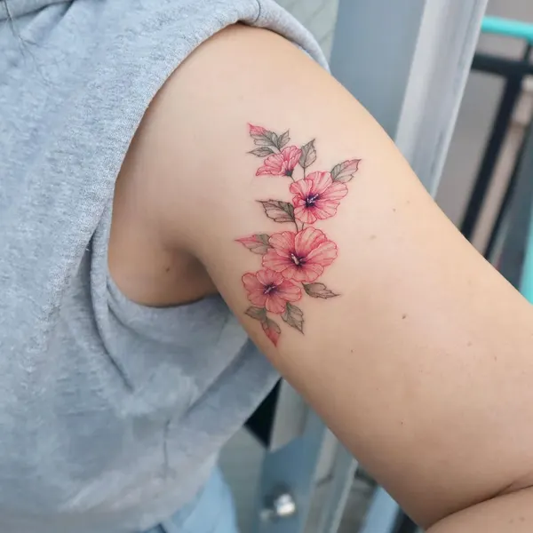Flower, Rose