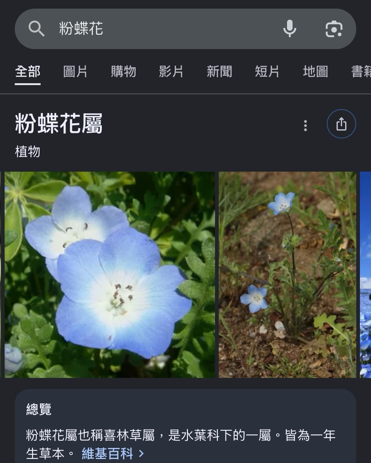 oldchuan