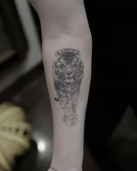 Tiger