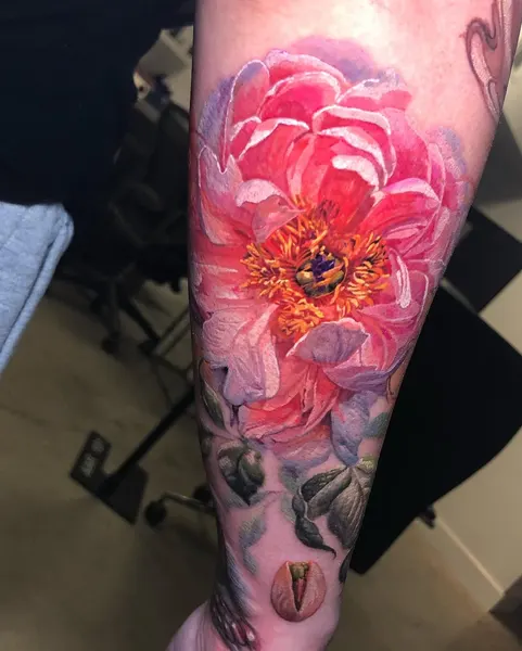 Flower, Rose