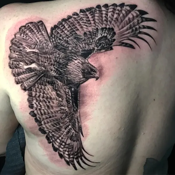 Animal